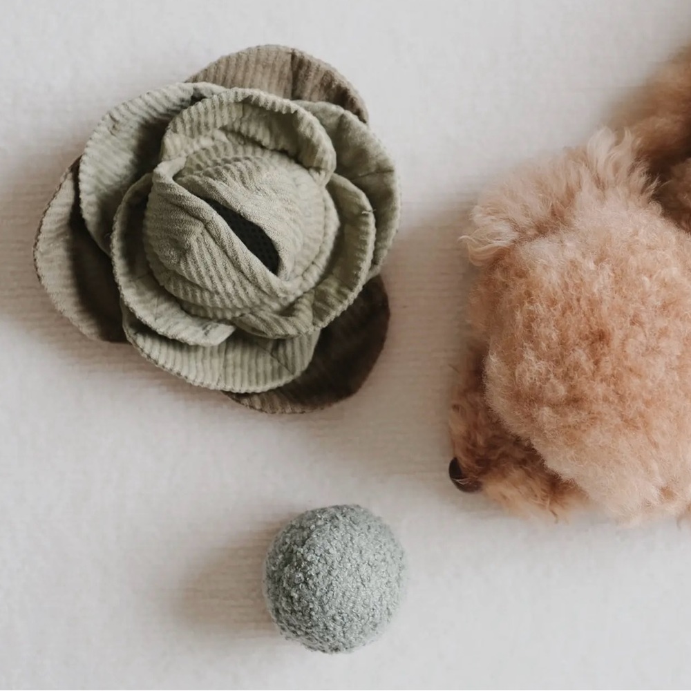 Cabbage Pop Enrichment Toy